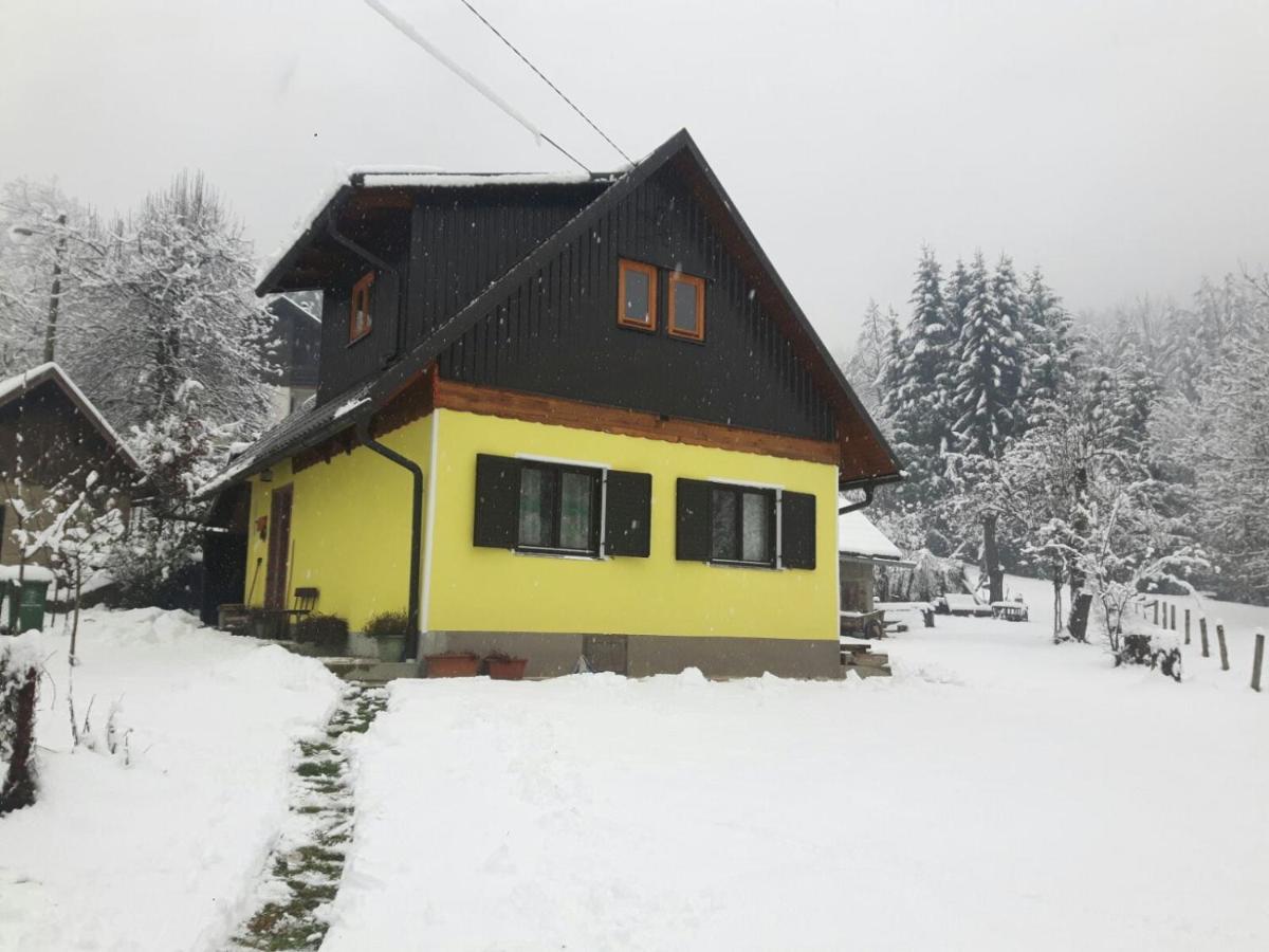 Kuca Za Odmor Forest Dream U Blizini Rijeke Kupe Plesce 外观 照片